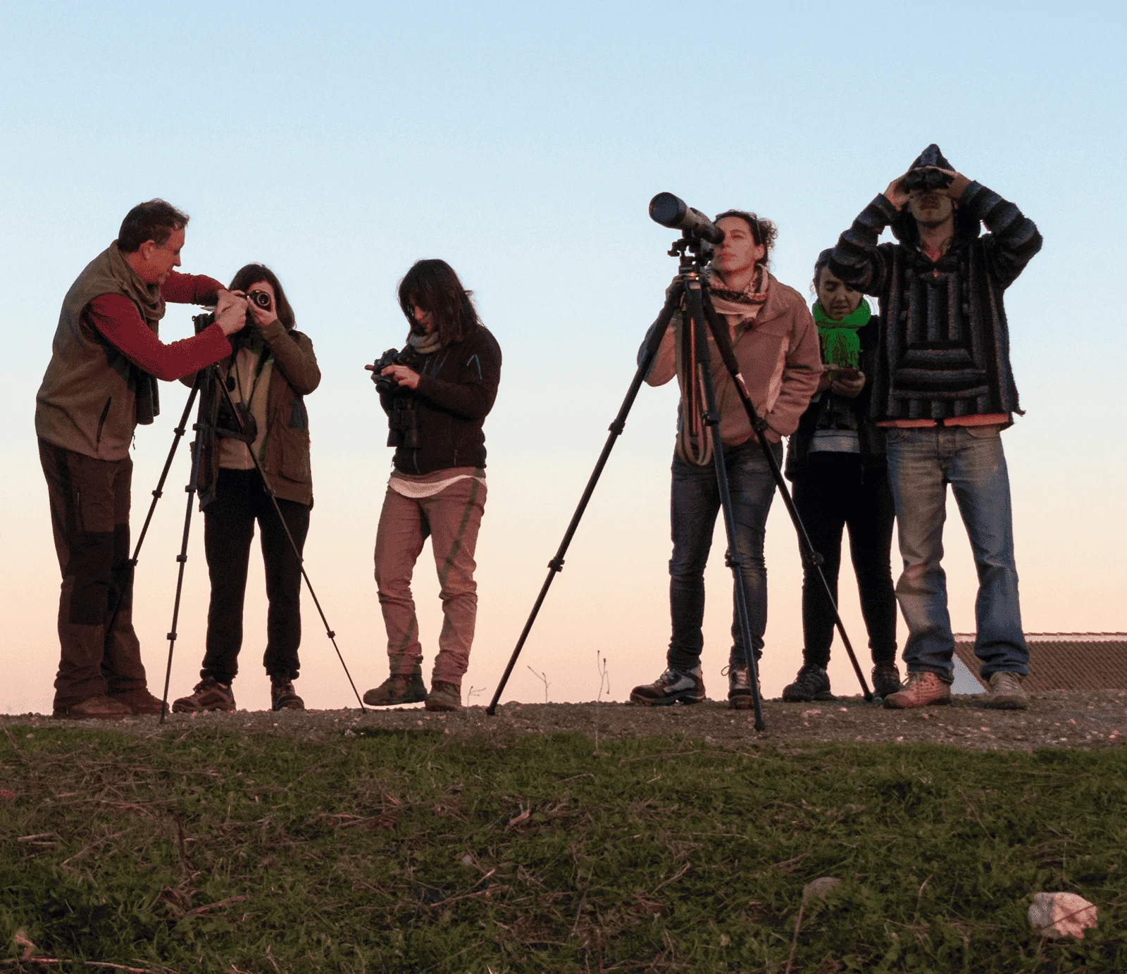 Grupo reducido observando aves con telescopios y prismáticos