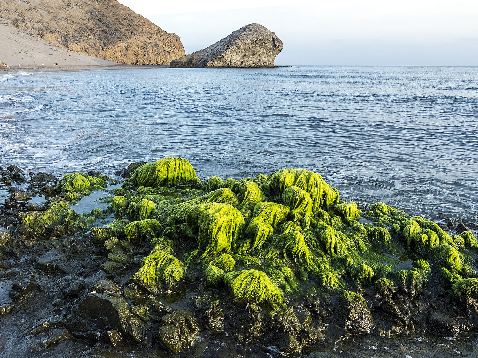 Costa volcánica y Monumento Natural de La Peineta en Cabo de Gata