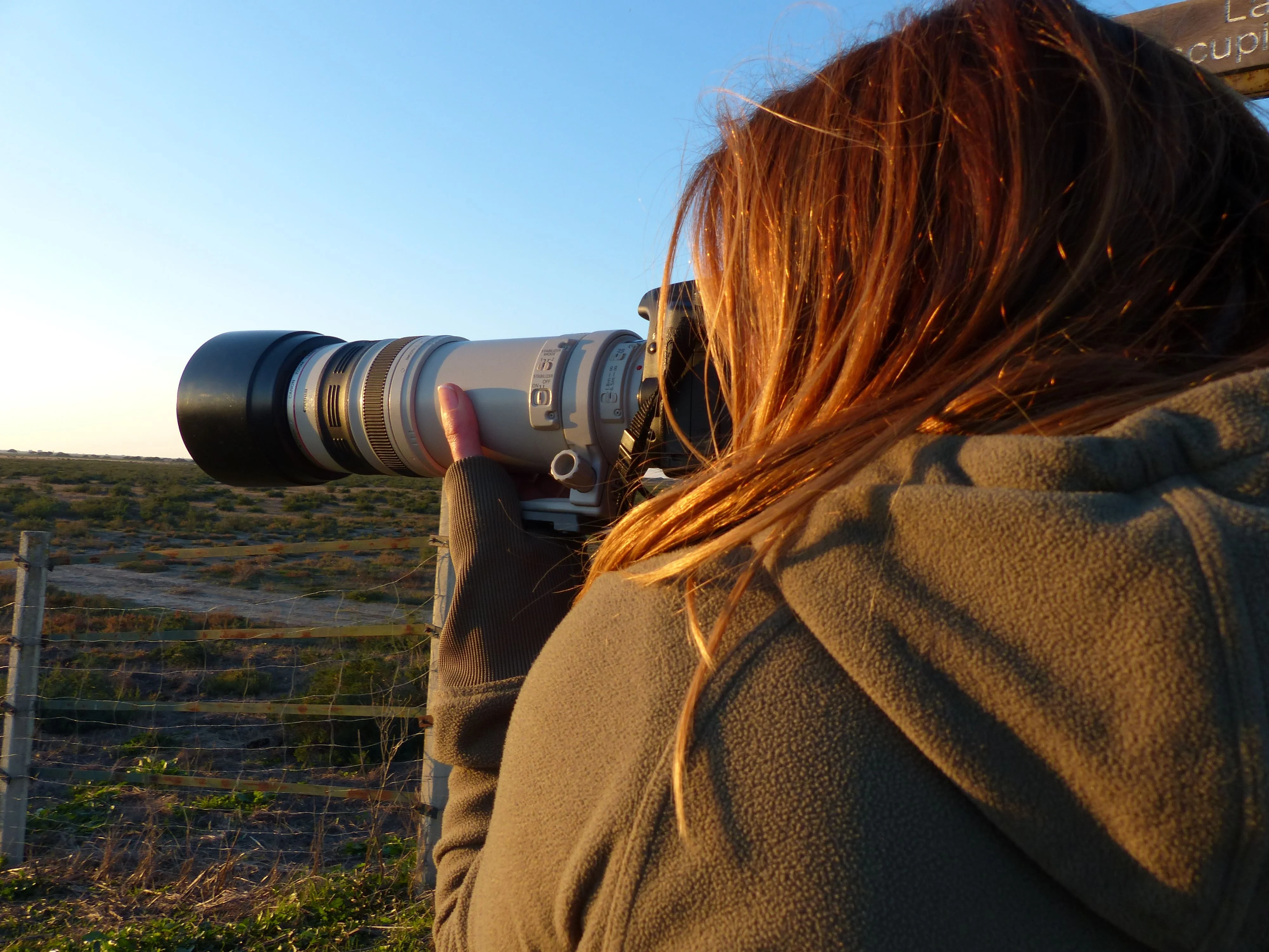 Persona fotografiando fauna con un teleobjetivo
